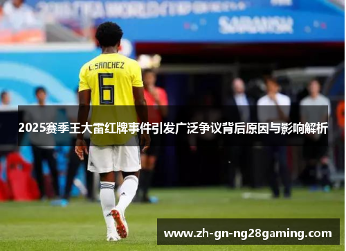 2025赛季王大雷红牌事件引发广泛争议背后原因与影响解析