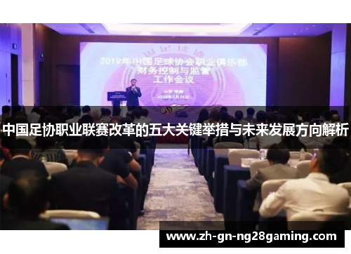 中国足协职业联赛改革的五大关键举措与未来发展方向解析