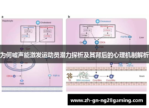 为何嘘声能激发运动员潜力探析及其背后的心理机制解析