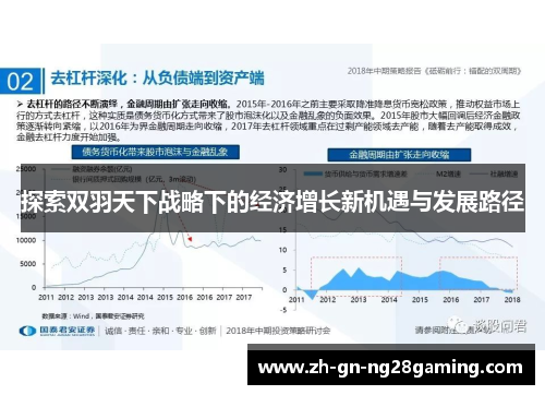 探索双羽天下战略下的经济增长新机遇与发展路径