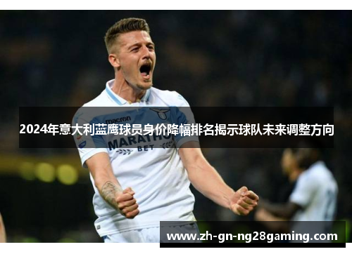 2024年意大利蓝鹰球员身价降幅排名揭示球队未来调整方向
