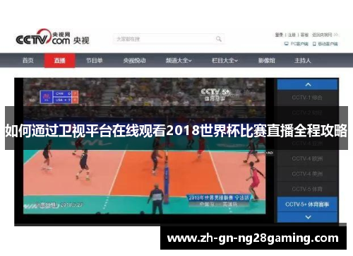 如何通过卫视平台在线观看2018世界杯比赛直播全程攻略