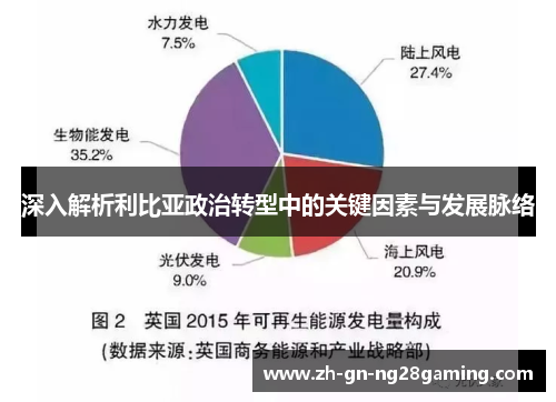 深入解析利比亚政治转型中的关键因素与发展脉络