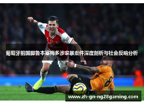 葡萄牙前国脚鲁本塞梅多涉家暴案件深度剖析与社会反响分析