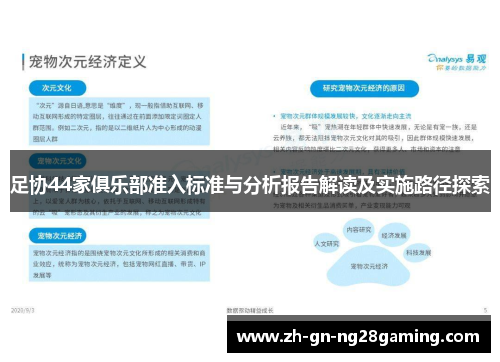 足协44家俱乐部准入标准与分析报告解读及实施路径探索