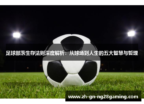 足球部落生存法则深度解析：从球场到人生的五大智慧与哲理