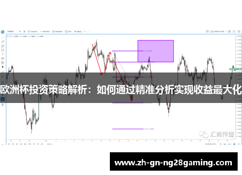 欧洲杯投资策略解析:如何通过精准分析实现收益最大化 欧洲杯投资策略解析:如何通过精准分析实现收益最大化