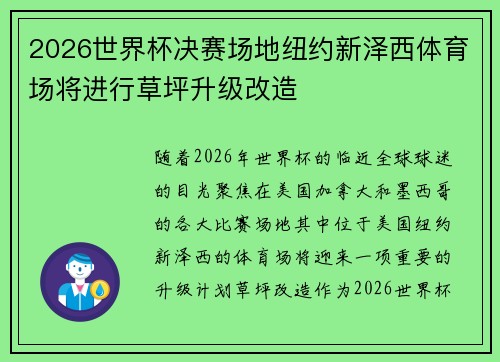 2026世界杯决赛场地纽约新泽西体育场将进行草坪升级改造