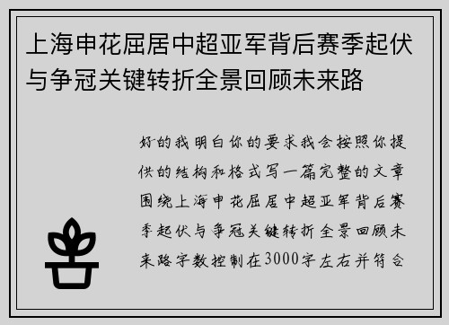上海申花屈居中超亚军背后赛季起伏与争冠关键转折全景回顾未来路