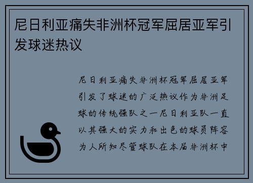尼日利亚痛失非洲杯冠军屈居亚军引发球迷热议